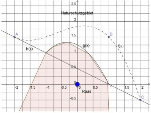 Ganzrationale Funktion 3. Grades bestimmen Mathenachhilfe